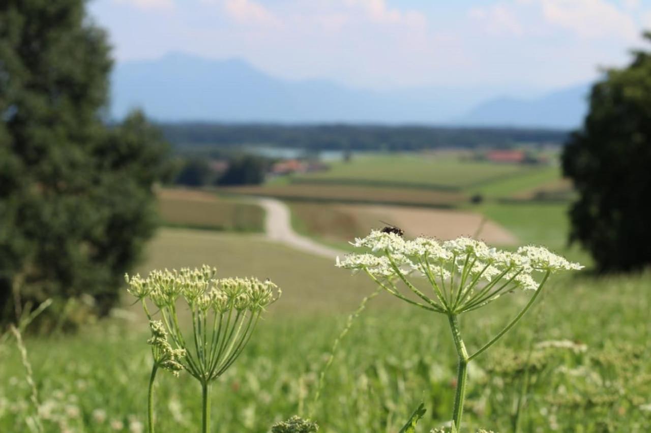 Ferienhof Moyer Hoslwang ภายนอก รูปภาพ